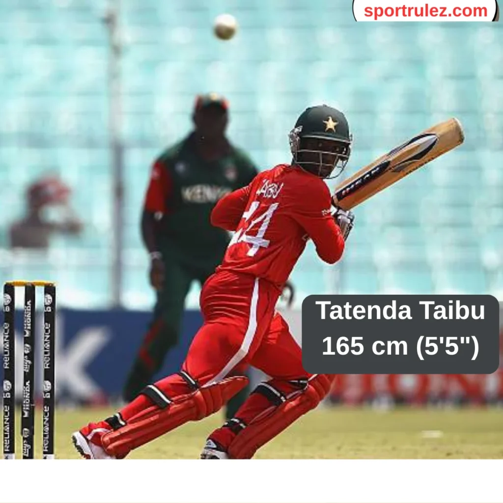 Tatenda Taibu